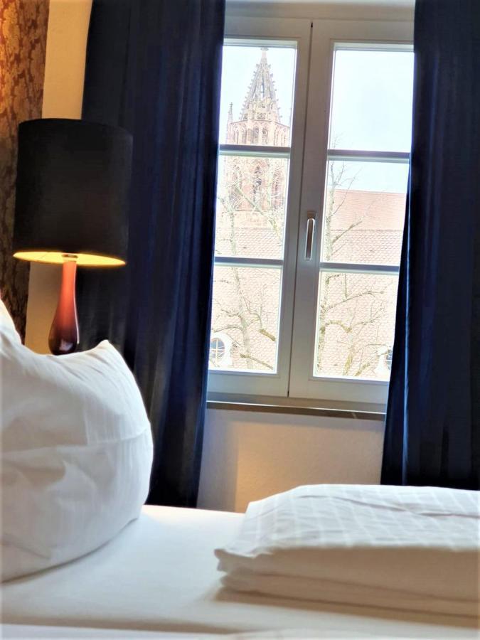 Luxus Apartment Ludwigxv Фрайбург Екстериор снимка